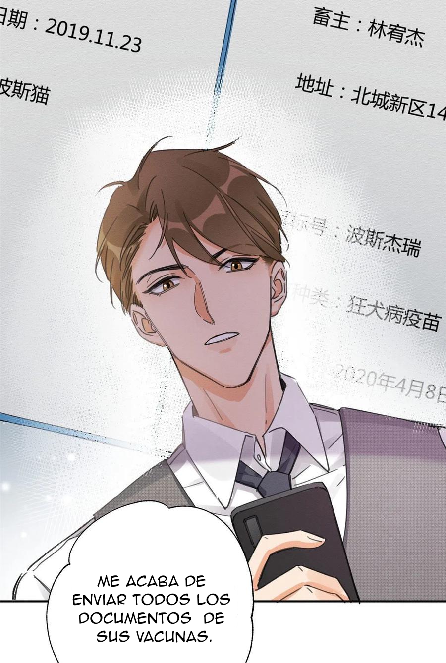 17 Tengo que trabajar duro para ser un gato hoy!