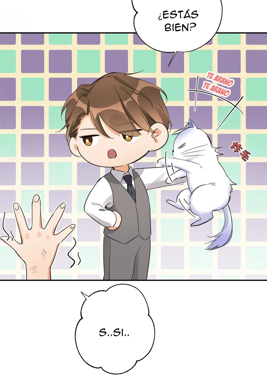 13 Tengo que trabajar duro para ser un gato hoy!