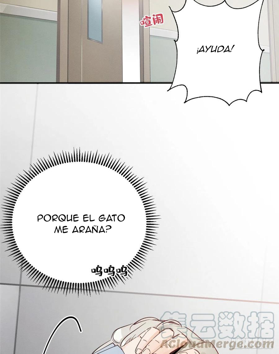 3 Tengo que trabajar duro para ser un gato hoy!