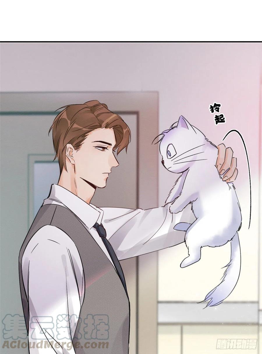 9 Tengo que trabajar duro para ser un gato hoy!