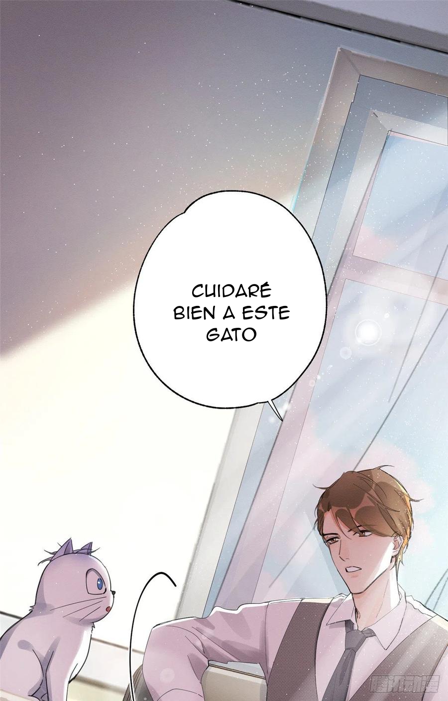 22 Tengo que trabajar duro para ser un gato hoy!