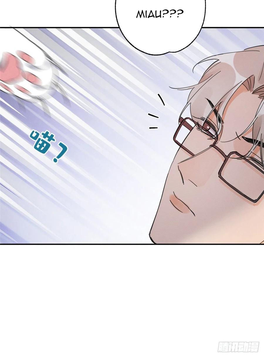 8 Tengo que trabajar duro para ser un gato hoy!