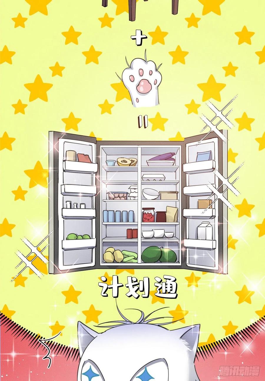 55 Tengo que trabajar duro para ser un gato hoy!