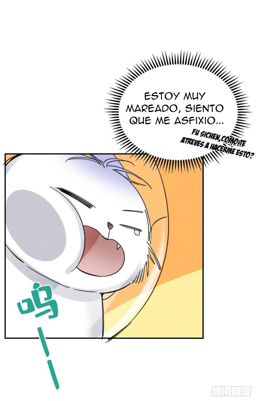 31 Tengo que trabajar duro para ser un gato hoy!