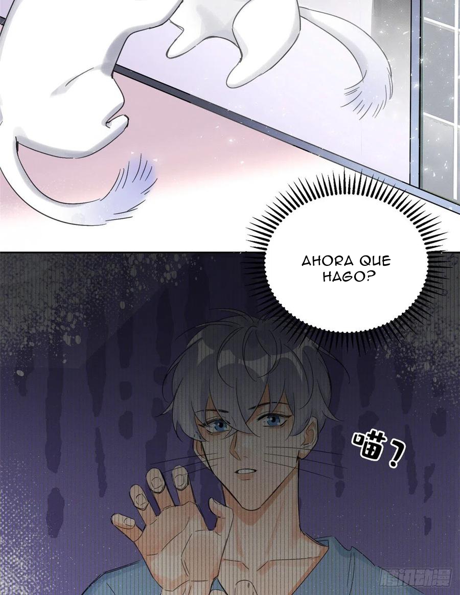 3 Tengo que trabajar duro para ser un gato hoy!