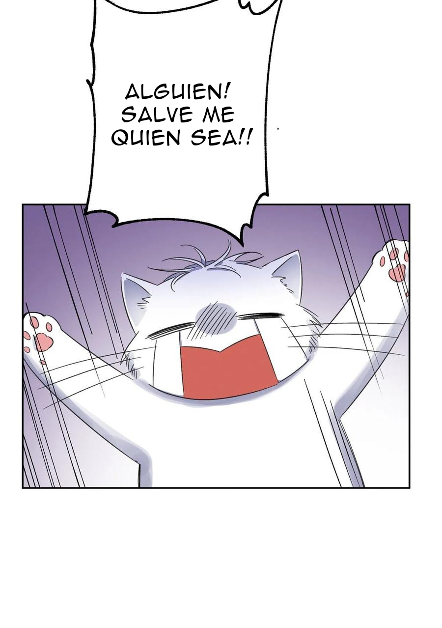 41 Tengo que trabajar duro para ser un gato hoy!