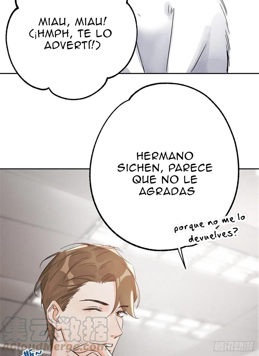 29 Tengo que trabajar duro para ser un gato hoy!