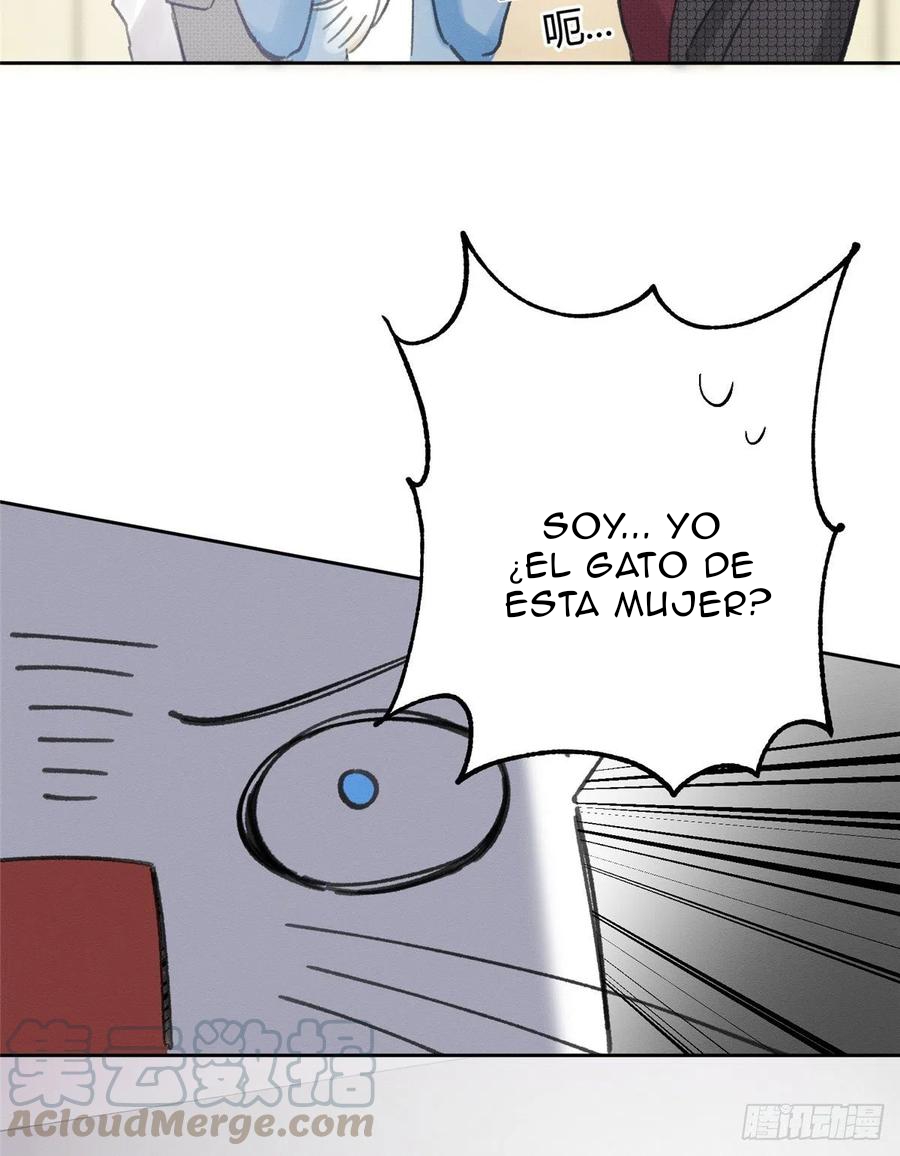 14 Tengo que trabajar duro para ser un gato hoy!