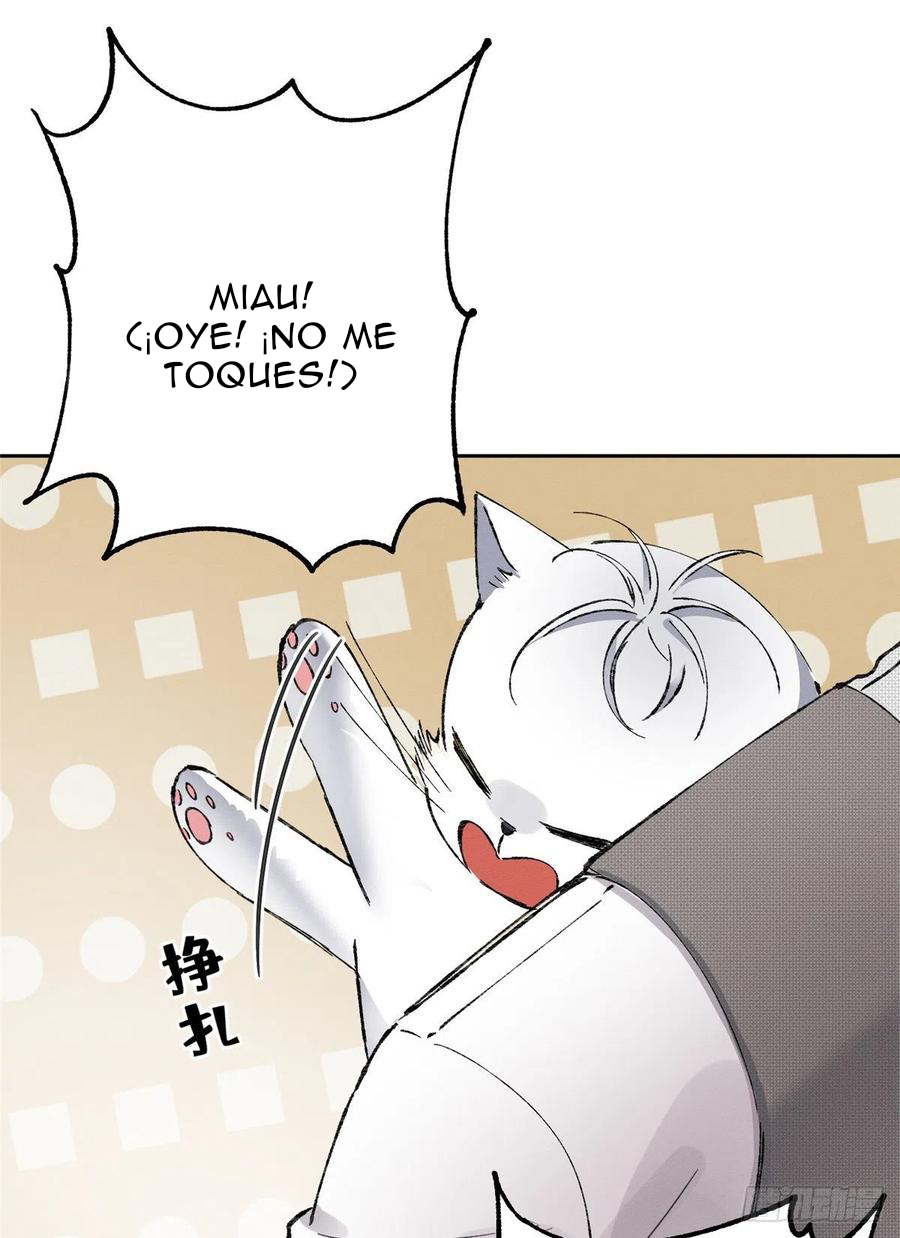 22 Tengo que trabajar duro para ser un gato hoy!