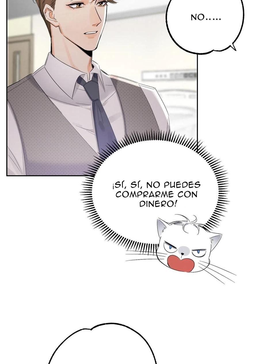 37 Tengo que trabajar duro para ser un gato hoy!