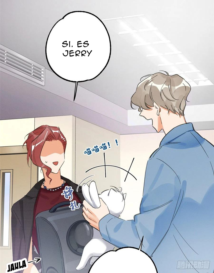 15 Tengo que trabajar duro para ser un gato hoy!