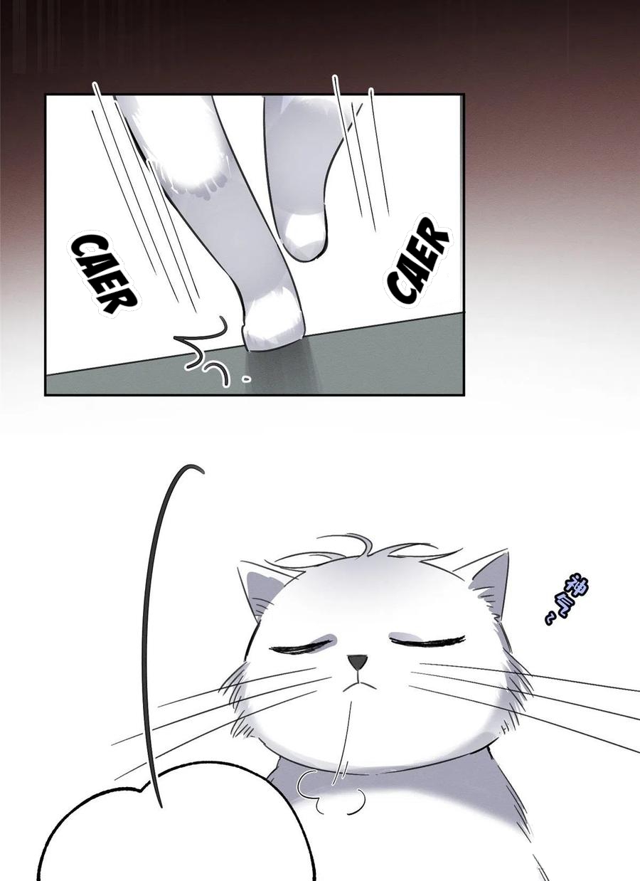 28 Tengo que trabajar duro para ser un gato hoy!