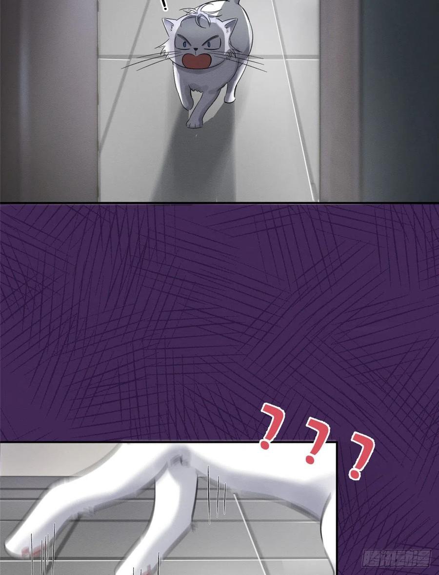 60 Tengo que trabajar duro para ser un gato hoy!