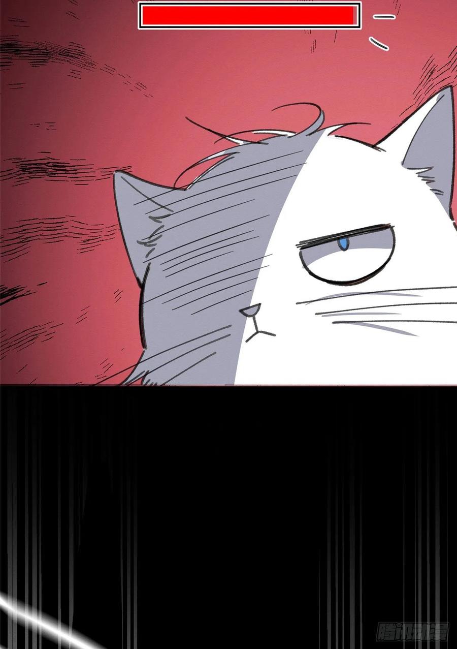 25 Tengo que trabajar duro para ser un gato hoy!