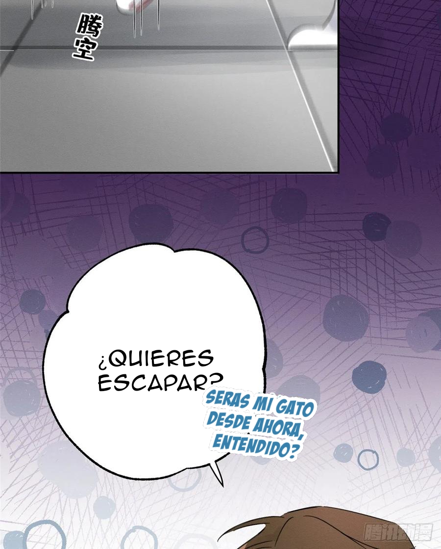 61 Tengo que trabajar duro para ser un gato hoy!