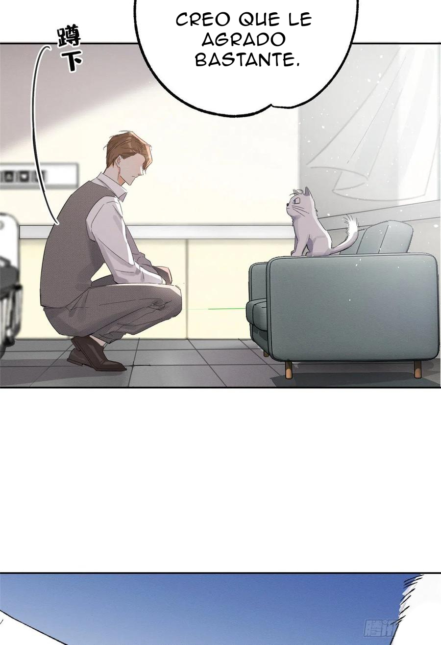 31 Tengo que trabajar duro para ser un gato hoy!