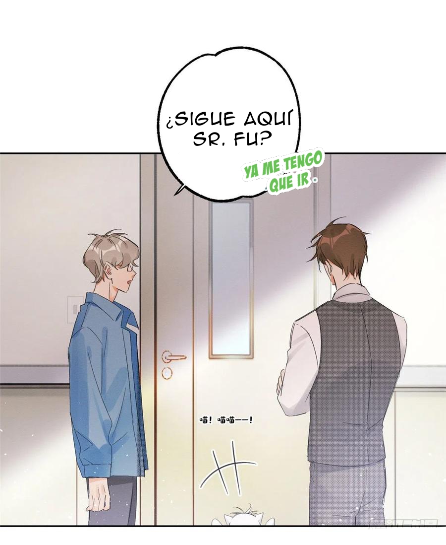 42 Tengo que trabajar duro para ser un gato hoy!