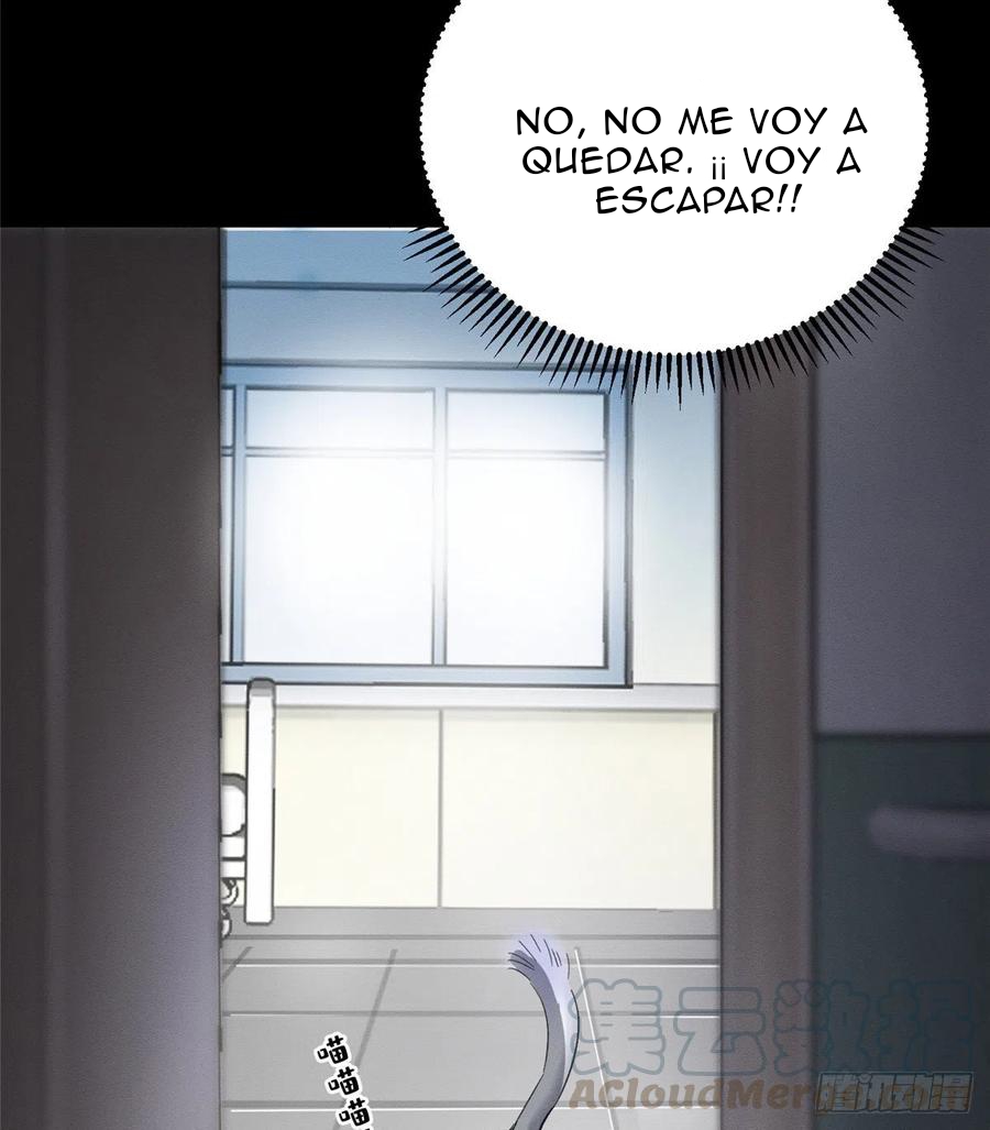 59 Tengo que trabajar duro para ser un gato hoy!