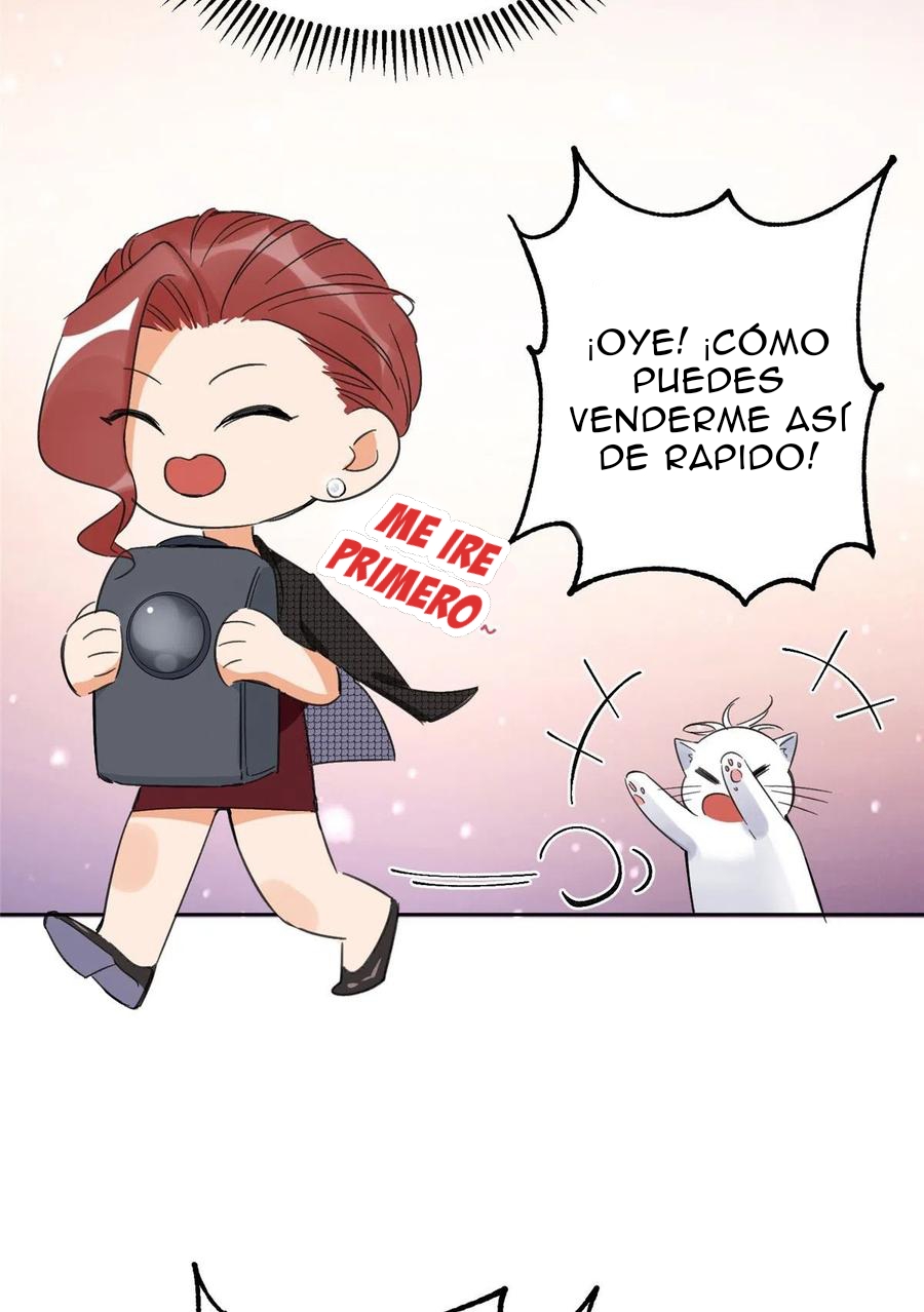 40 Tengo que trabajar duro para ser un gato hoy!