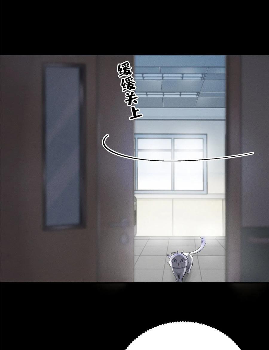 58 Tengo que trabajar duro para ser un gato hoy!