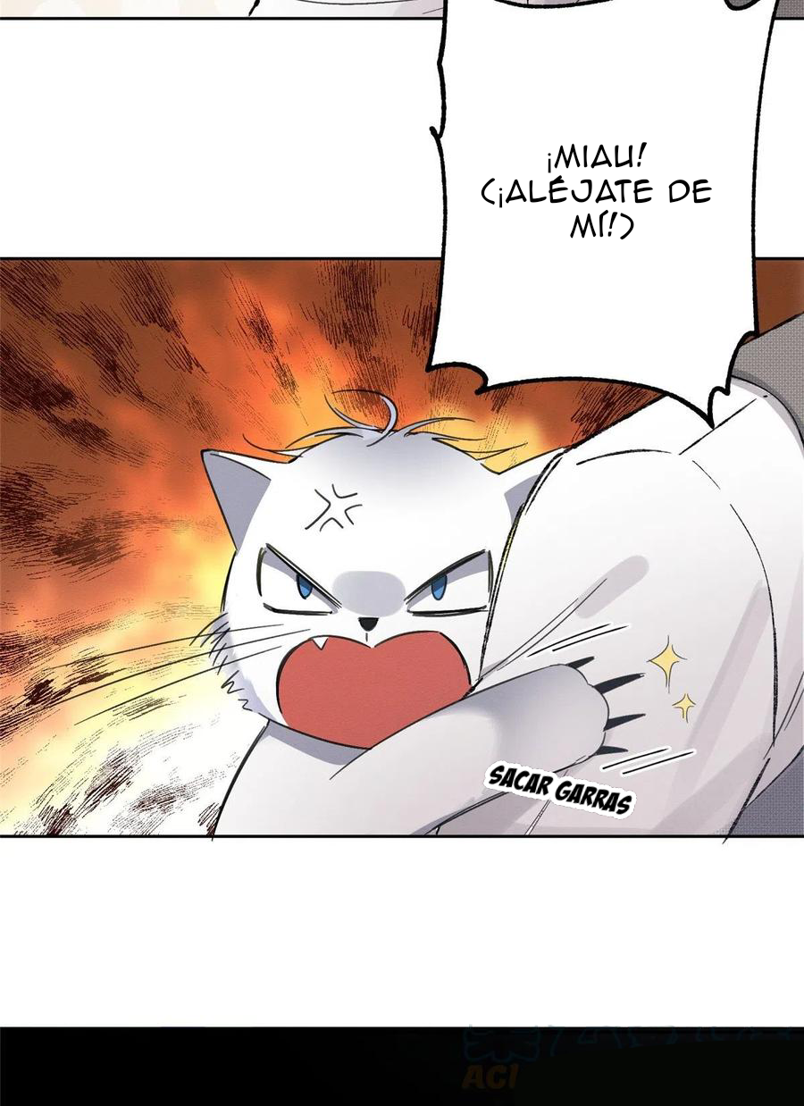 23 Tengo que trabajar duro para ser un gato hoy!