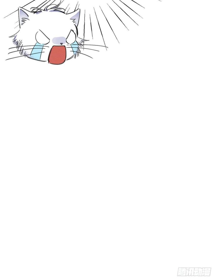 64 Tengo que trabajar duro para ser un gato hoy!