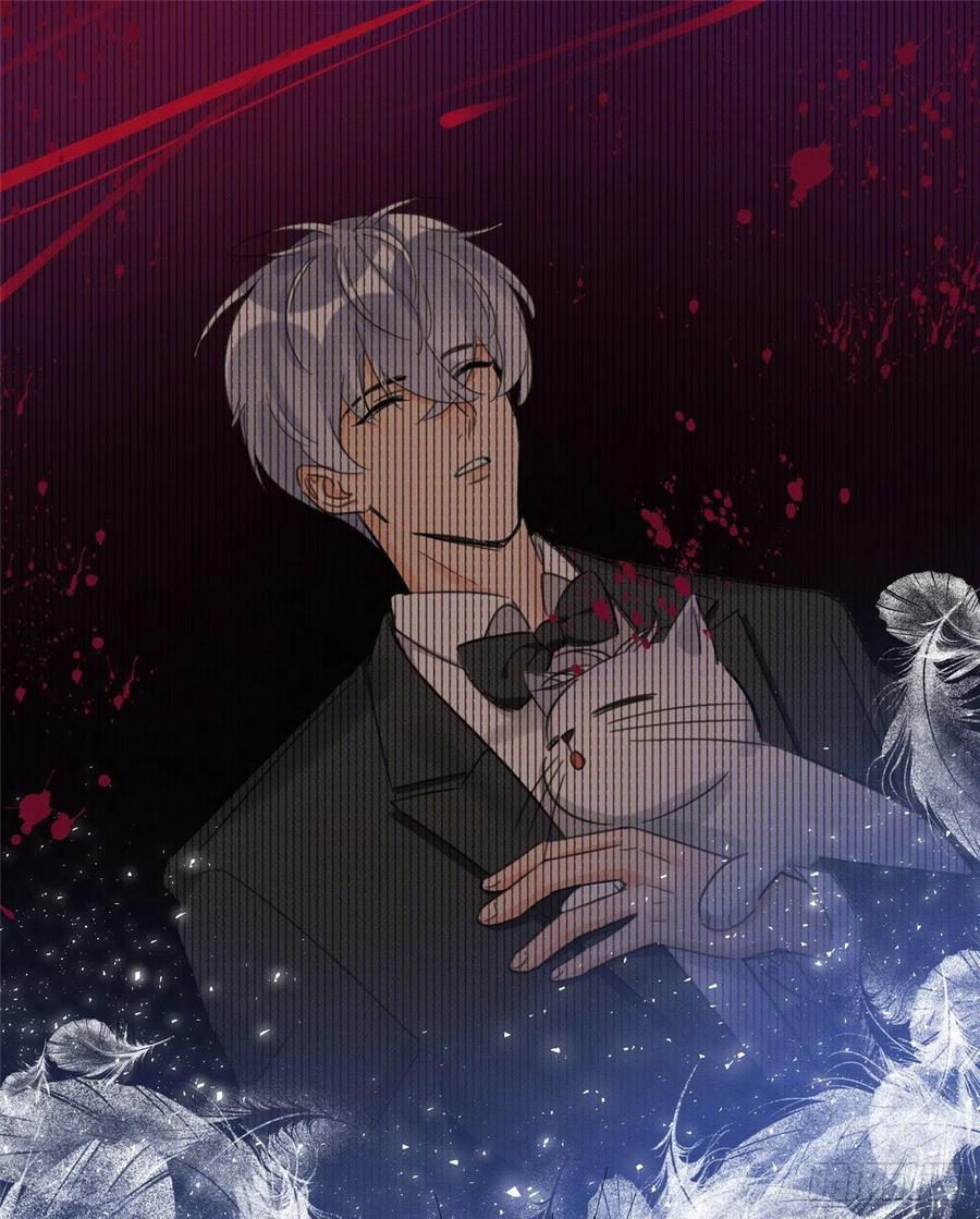 0 Tengo que trabajar duro para ser un gato hoy!