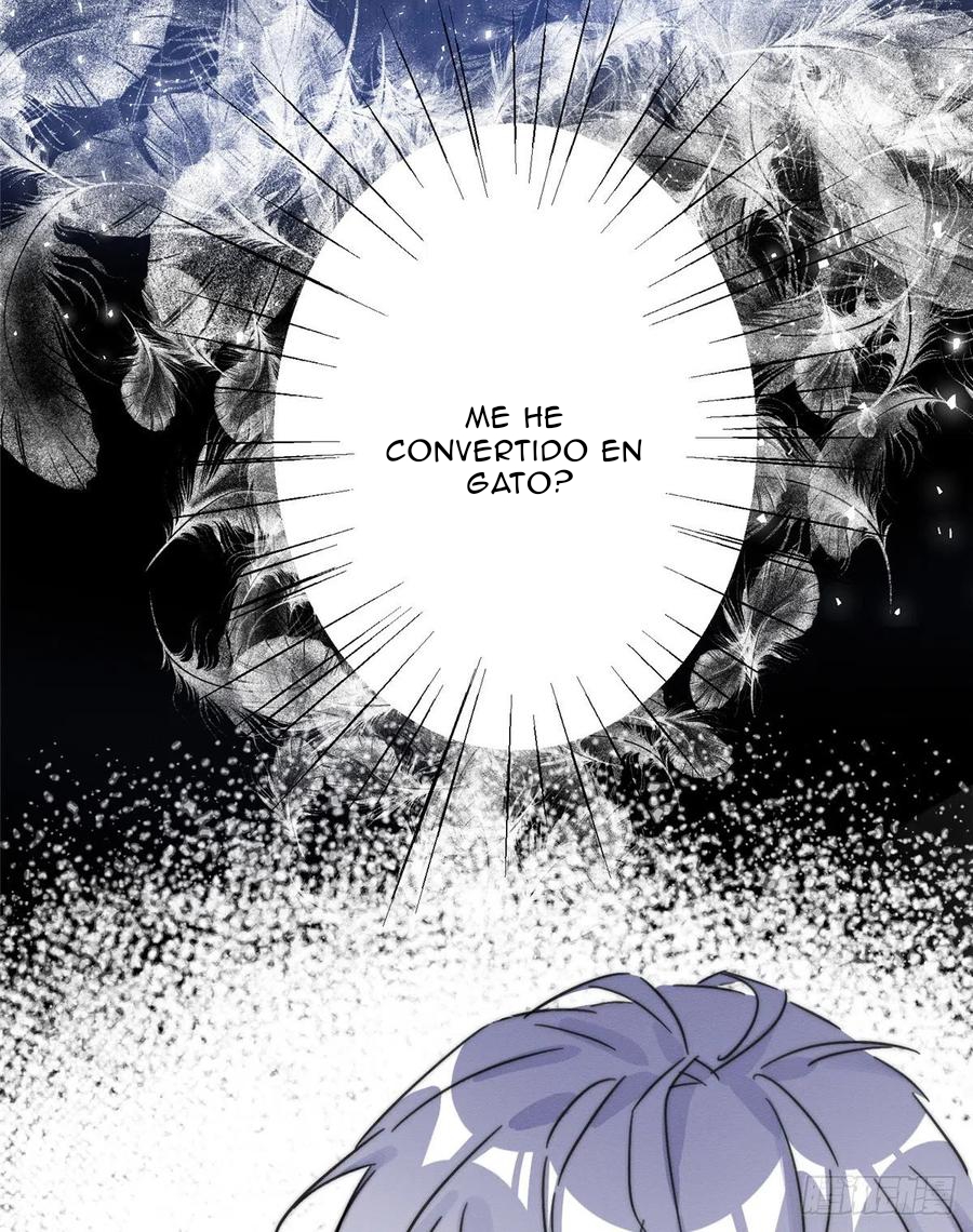 1 Tengo que trabajar duro para ser un gato hoy!