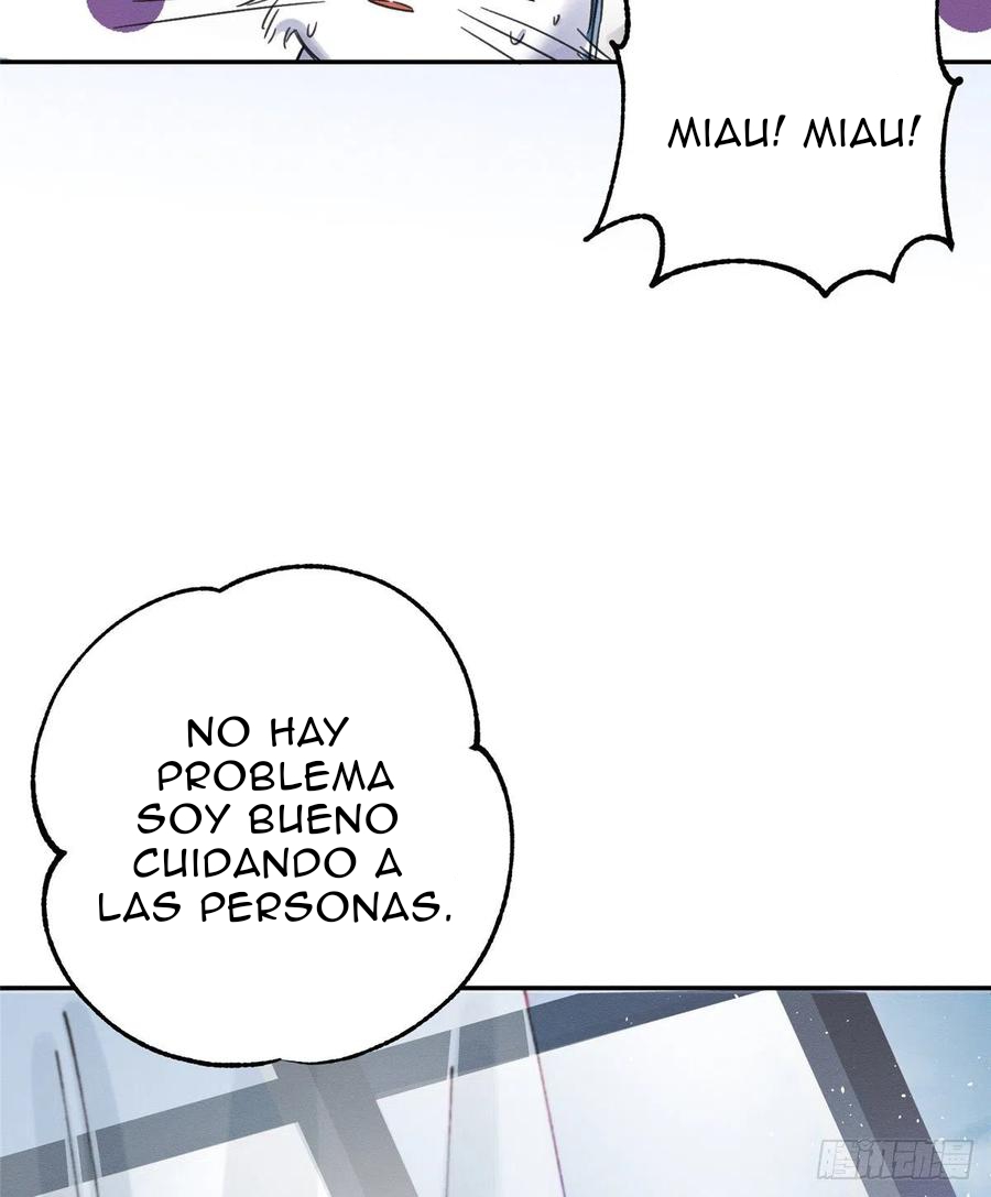 52 Tengo que trabajar duro para ser un gato hoy!