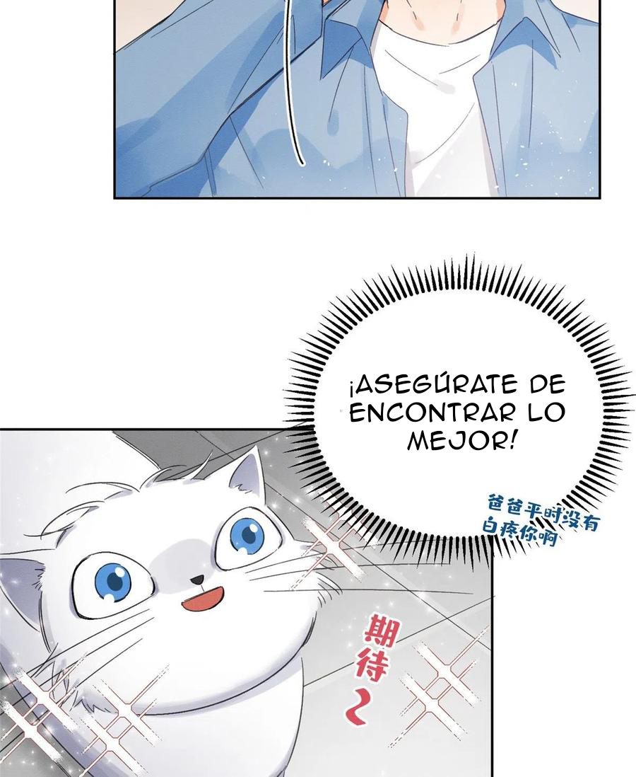 45 Tengo que trabajar duro para ser un gato hoy!