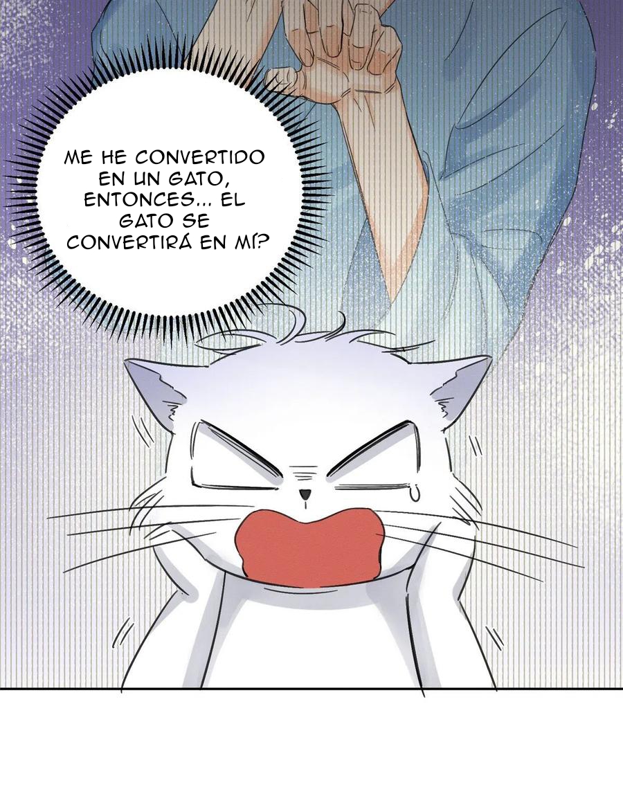 4 Tengo que trabajar duro para ser un gato hoy!