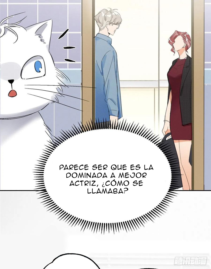 8 Tengo que trabajar duro para ser un gato hoy!