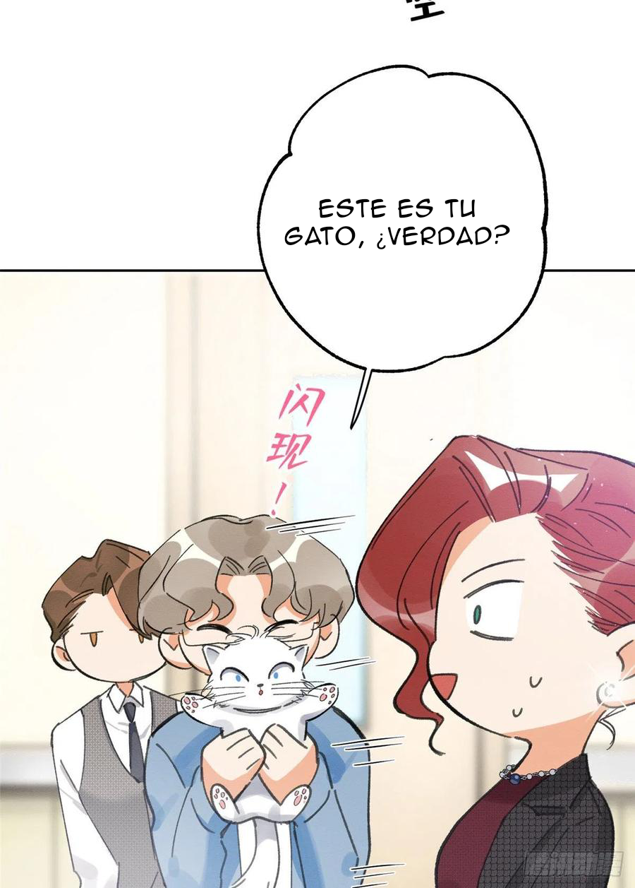 13 Tengo que trabajar duro para ser un gato hoy!