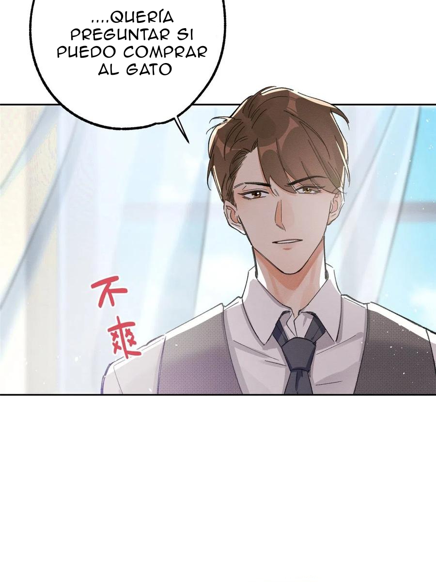 20 Tengo que trabajar duro para ser un gato hoy!