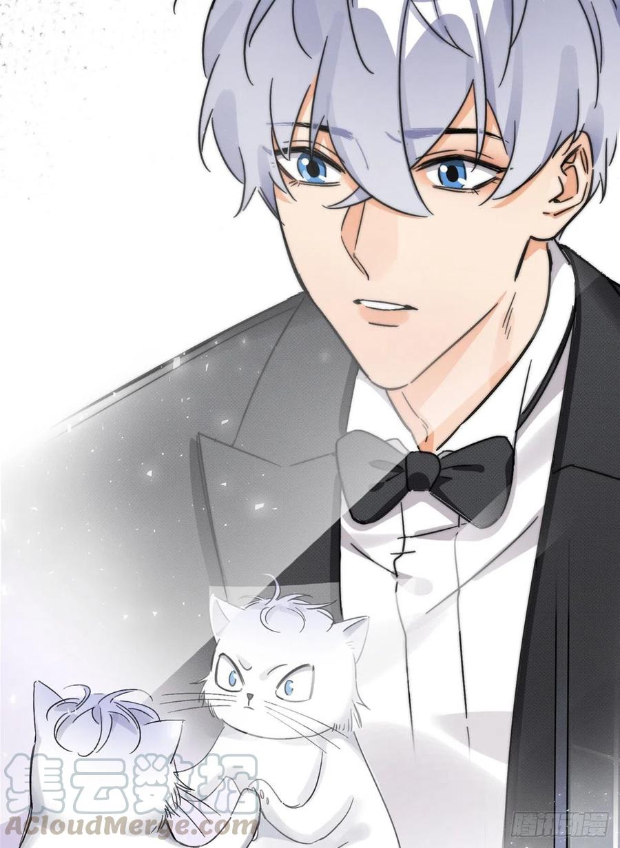 2 Tengo que trabajar duro para ser un gato hoy!