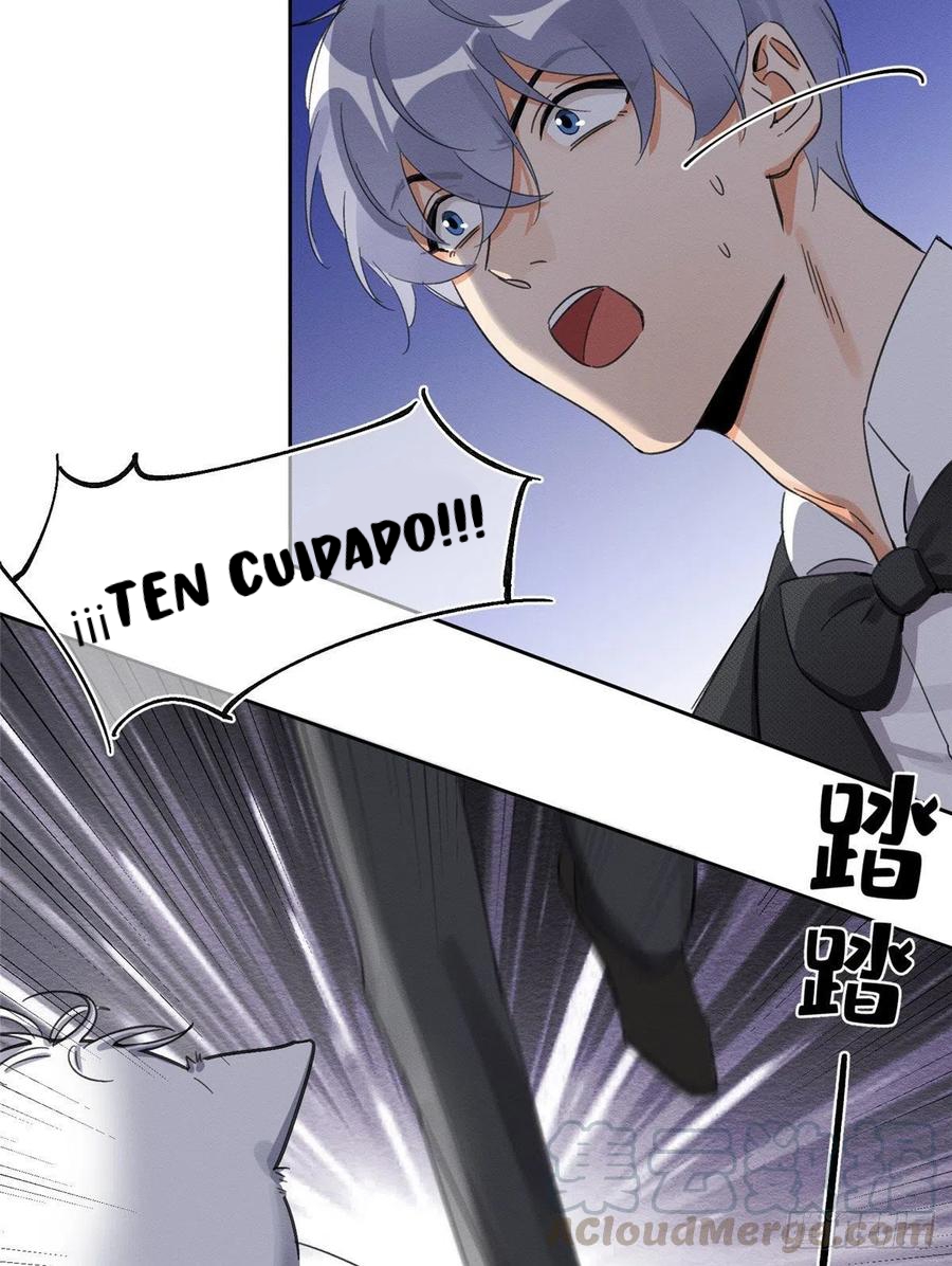 42 Tengo que trabajar duro para ser un gato hoy!