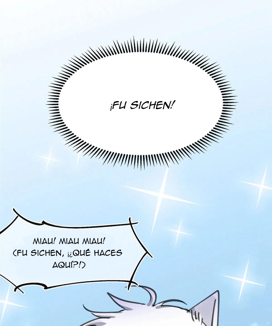 55 Tengo que trabajar duro para ser un gato hoy!