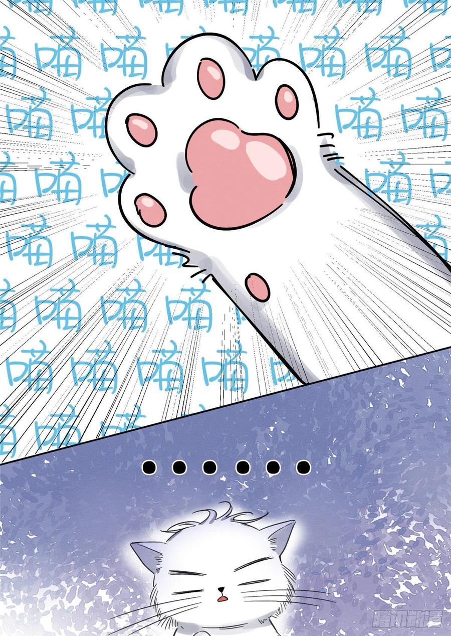 59 Tengo que trabajar duro para ser un gato hoy!