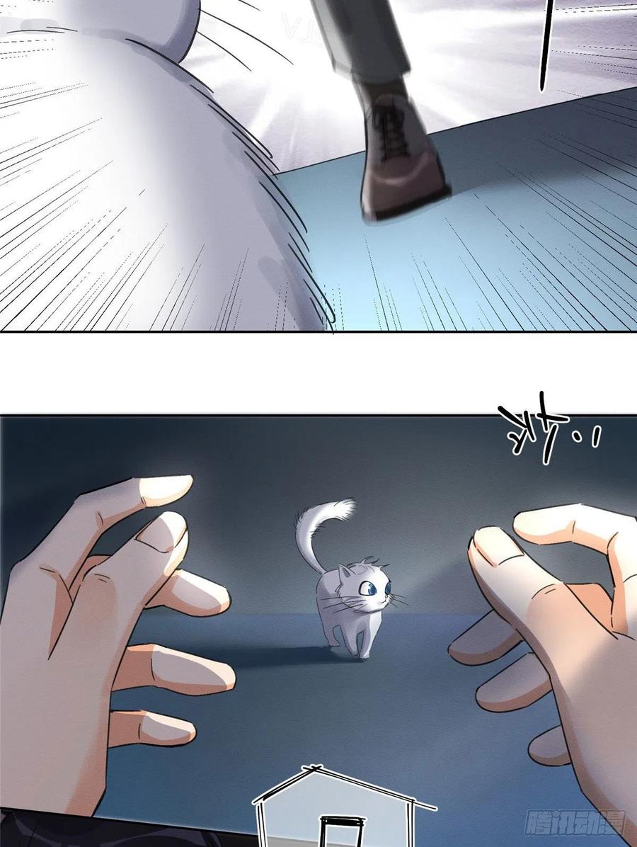 43 Tengo que trabajar duro para ser un gato hoy!