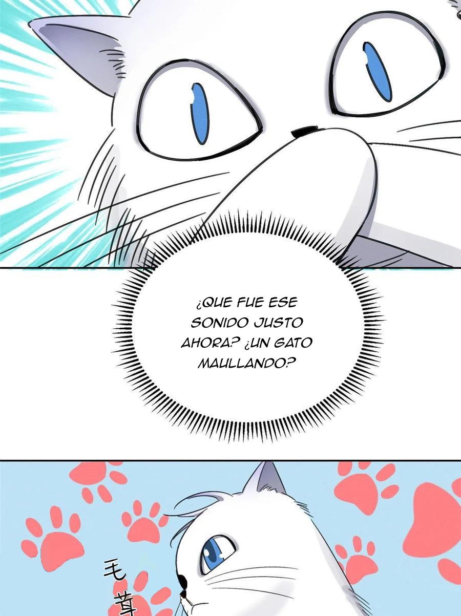 57 Tengo que trabajar duro para ser un gato hoy!