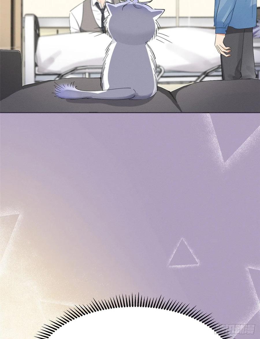 61 Tengo que trabajar duro para ser un gato hoy!