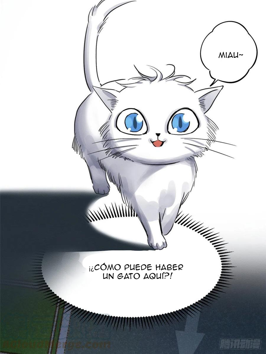 39 Tengo que trabajar duro para ser un gato hoy!