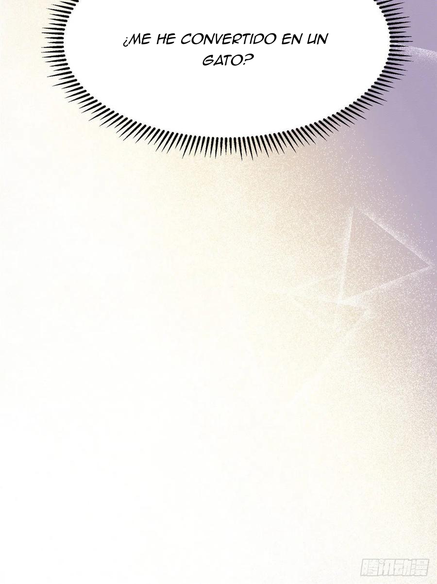 62 Tengo que trabajar duro para ser un gato hoy!