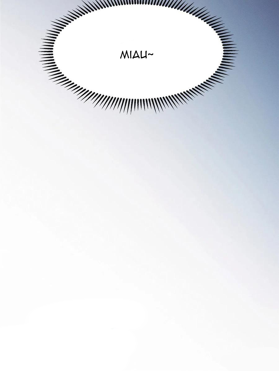 48 Tengo que trabajar duro para ser un gato hoy!