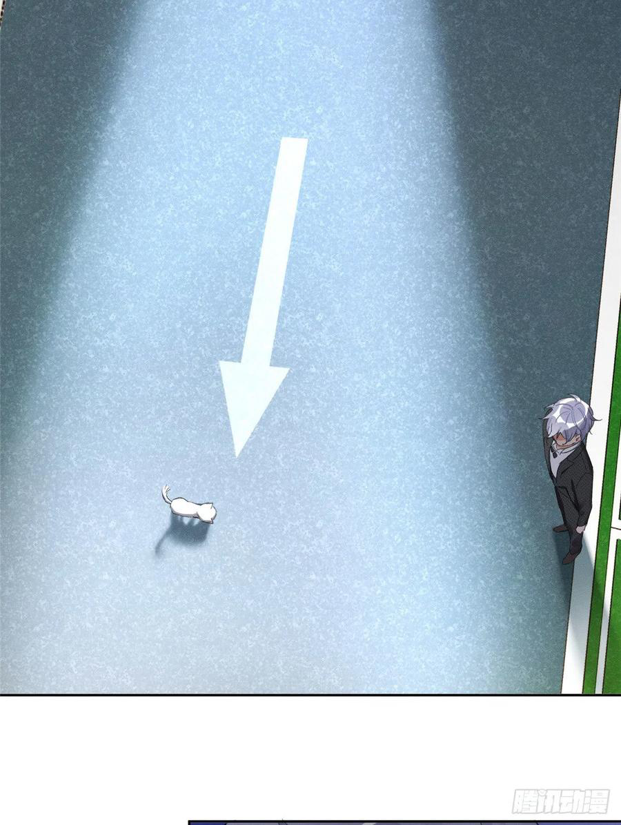 41 Tengo que trabajar duro para ser un gato hoy!