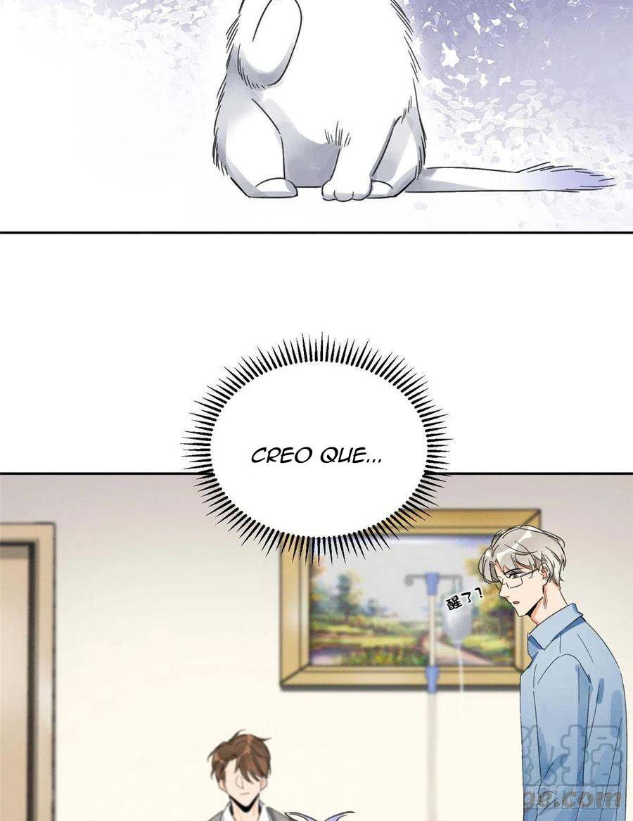 60 Tengo que trabajar duro para ser un gato hoy!