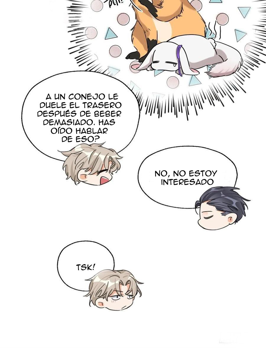 3 Tengo que trabajar duro para ser un gato hoy!