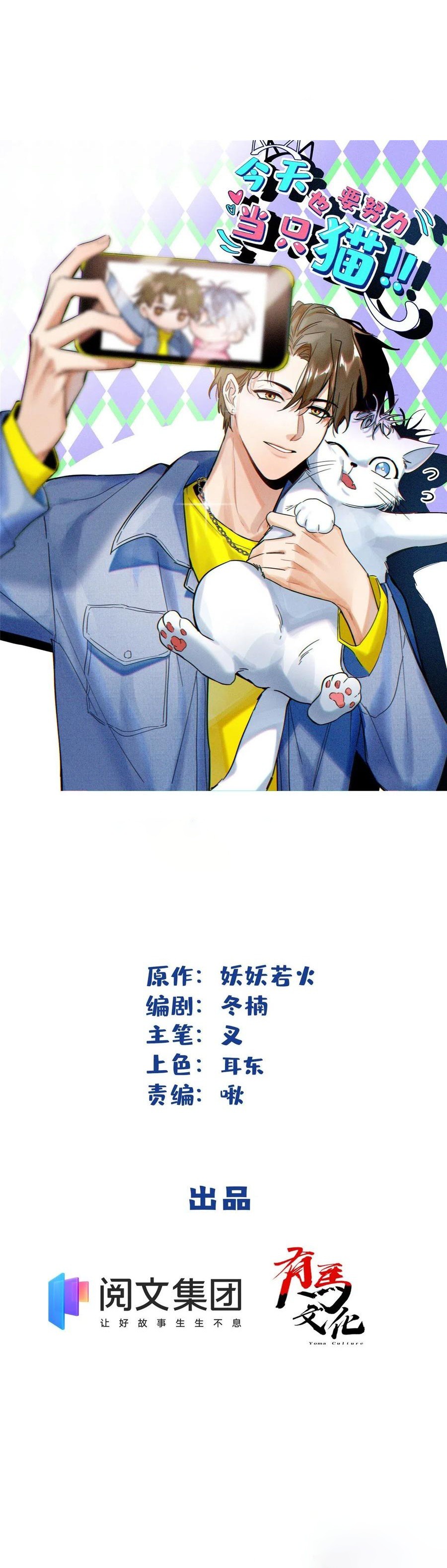 0 Tengo que trabajar duro para ser un gato hoy!