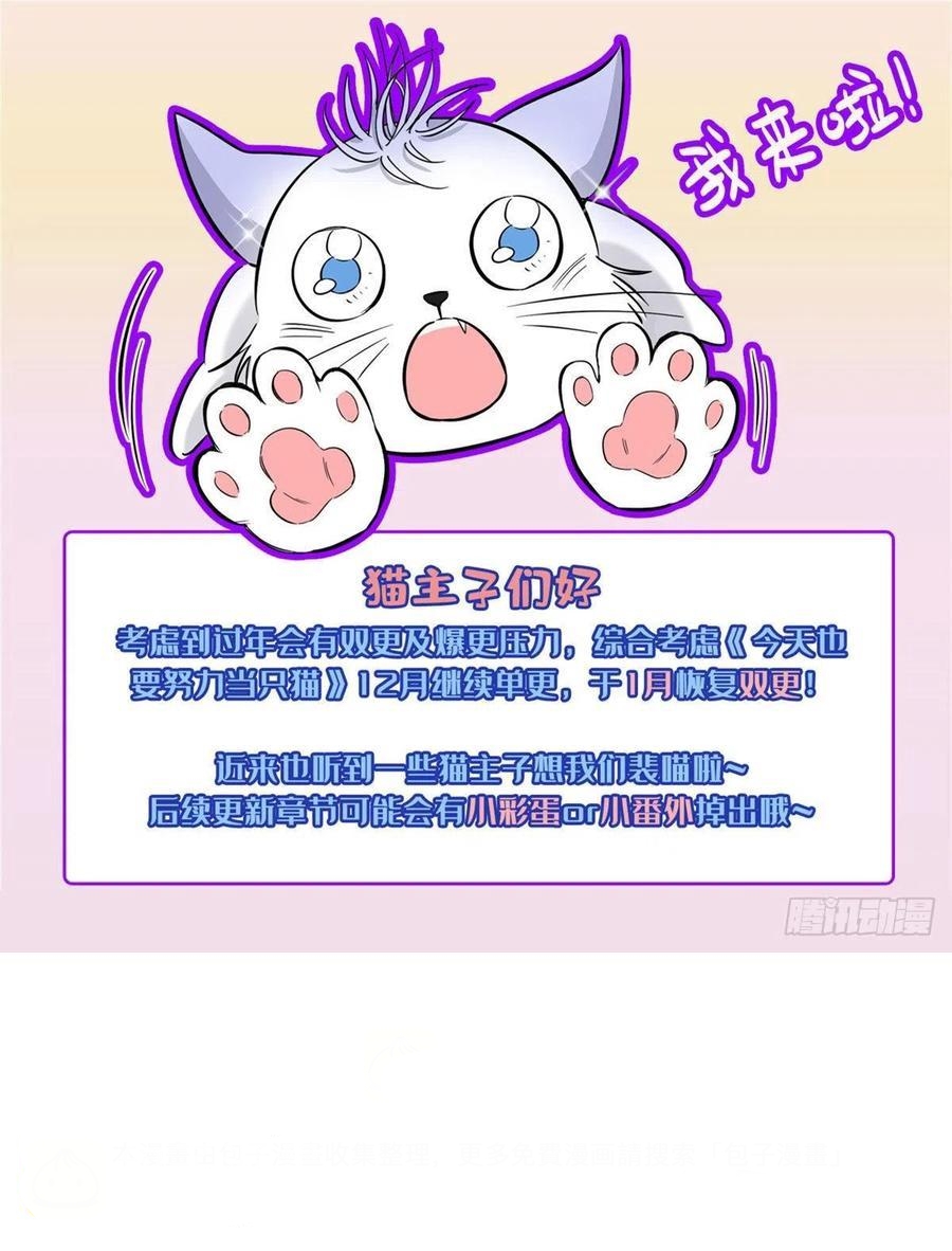 35 Tengo que trabajar duro para ser un gato hoy!