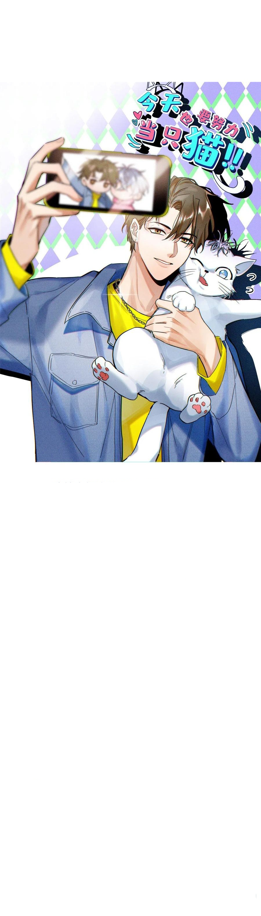 0 Tengo que trabajar duro para ser un gato hoy!